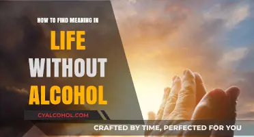 Finding Meaning and Sobriety: Life Beyond Alcohol