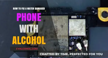Fixing a Water-Damaged Phone: Alcohol to the Rescue!