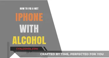 Fixing a Wet iPhone: The Alcohol Method