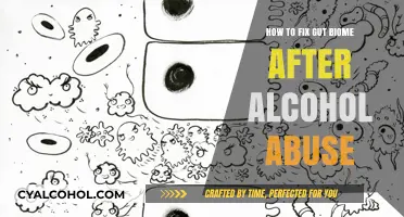 Repairing Your Gut Biome Post-Alcohol Abuse