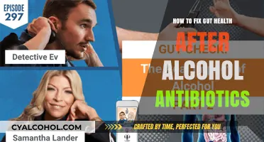 Healing Your Gut After Alcohol and Antibiotics
