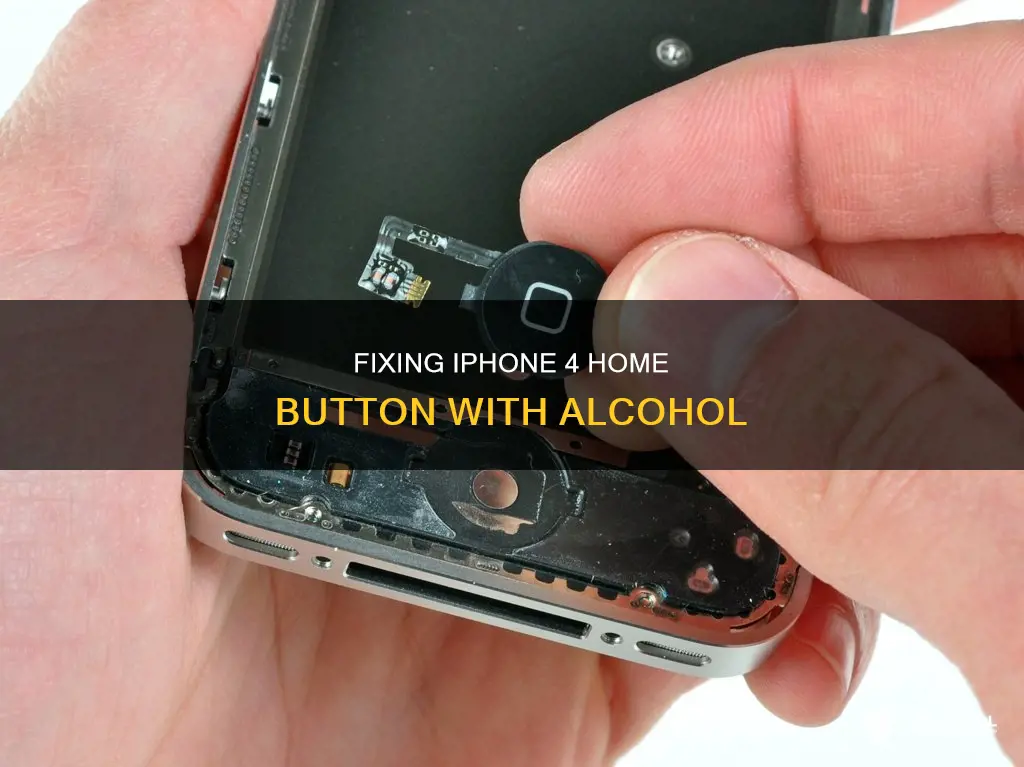 how to fix home button on iphone 4 with alcohol