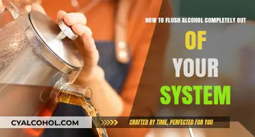 Flushing Alcohol Out: Quick and Complete System Detox