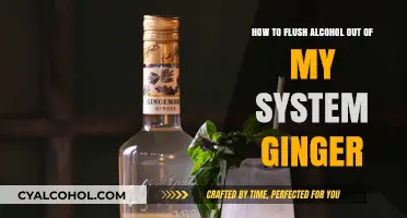 Flush Alcohol with Ginger: Effective Natural Remedy