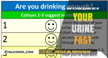 Quickly Flush Alcohol from Your Urine: Effective Methods