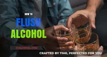 Effective Ways to Flush Alcohol from Your System Safely and Quickly