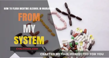Flushing Nicotine, Alcohol, and Marijuana: Rapid Detox Techniques