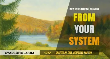 Effective Ways to Detox Your Body from Alcohol Quickly and Safely
