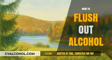 Effective Ways to Flush Alcohol from Your System Quickly and Safely