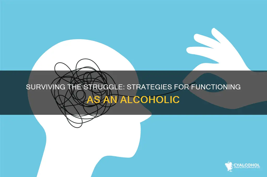 how to function as an alcoholic