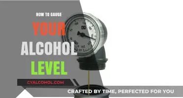 Understanding Your Alcohol Level: Practical Tips for Safe Consumption