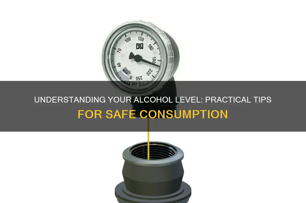 how to gauge your alcohol level