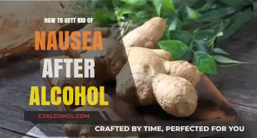 Alcohol-Induced Nausea: Natural Ways to Feel Better