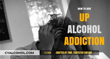 Overcoming Alcohol Addiction: A Step-by-Step Guide to Sobriety and Recovery