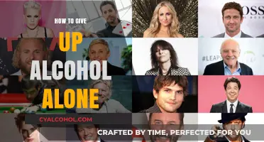 Breaking Free Solo: A Guide to Quitting Alcohol on Your Own