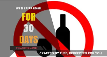 Alcohol-Free for 30 Days: A Guide to Success