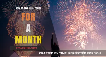 Alcohol-Free Month: A Guide to Staying Sober