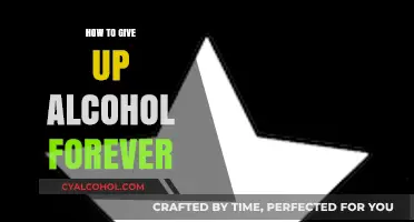 Quit Drinking for Good: A Guide to Lasting Sobriety