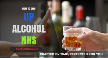 NHS Guide: Effective Strategies to Quit Alcohol and Stay Sober