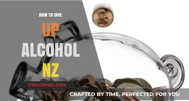 Quit Drinking in New Zealand: A Guide to Giving Up Alcohol