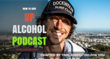 Sober Success: Tips and Stories from the Alcohol-Free Podcast Journey