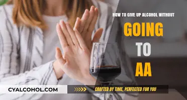 Quitting Alcohol: Strategies Beyond AA Meetings