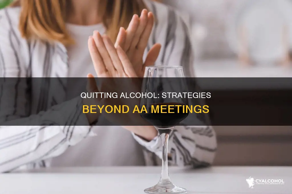 how to give up alcohol without going to aa