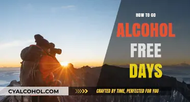 Embrace Sobriety: Tips for Successful Alcohol-Free Days and Nights