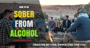 Reclaim Your Life: A Guide to Going Sober from Alcohol