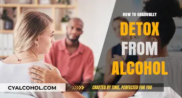 Gradual Alcohol Detox: A Step-by-Step Guide to Sobriety and Wellness