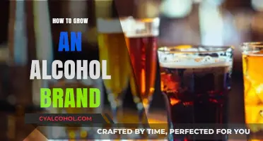 Crafting Success: Strategies to Elevate Your Alcohol Brand's Growth