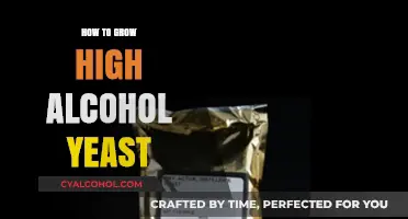 Mastering High-Alcohol Yeast Cultivation: Tips for Stronger Fermentation