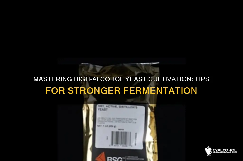 how to grow high alcohol yeast