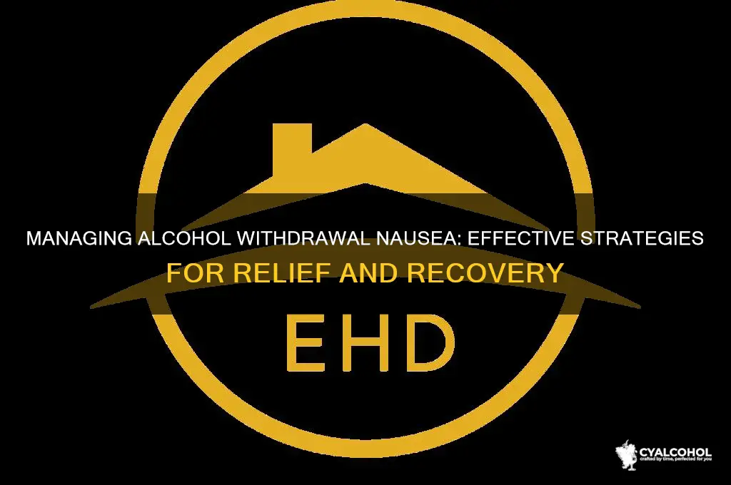 how to handle alcohol withdrawl nausea