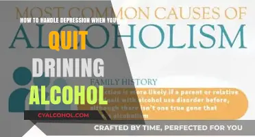 Battling Depression After Quitting Alcohol: Strategies for Success