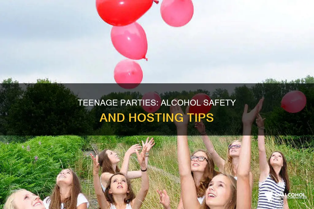 how to have a teenage party with alcohol