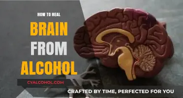 Healing Your Brain: Effective Strategies to Recover from Alcohol Damage