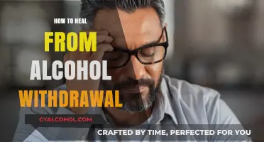 Healing from Alcohol Withdrawal: A Comprehensive Guide to Recovery