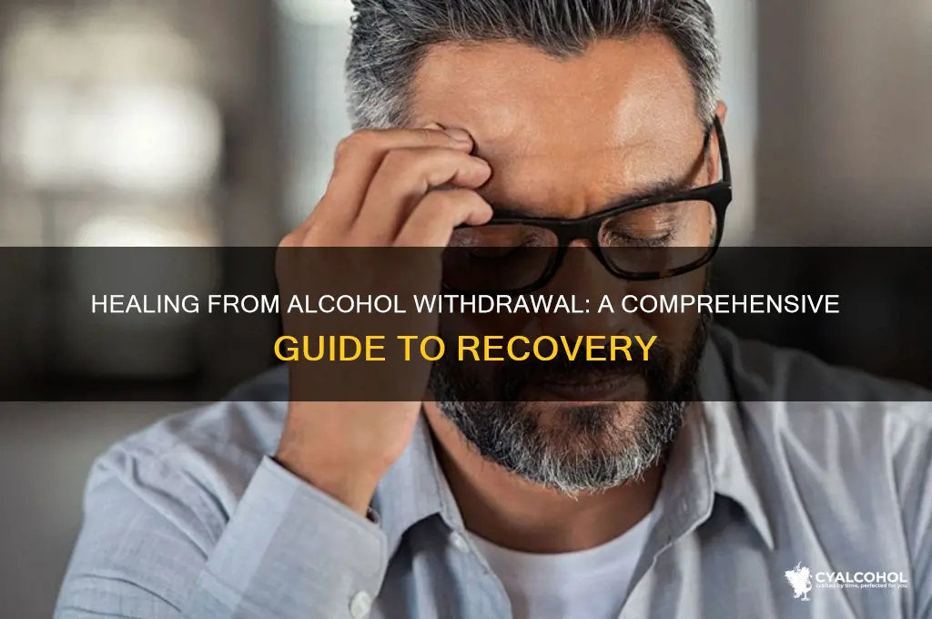 how to heal from alcohol withdrawal