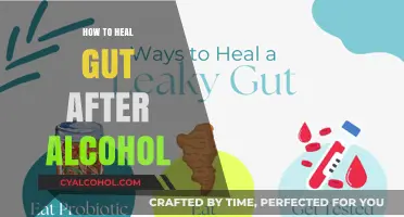 Healing Your Gut Post-Alcohol: A Comprehensive Recovery Guide
