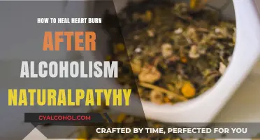 Healing Heartburn: Natural Remedies Post-Alcoholism