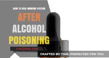 Healing Your Immune System Post-Alcohol Poisoning