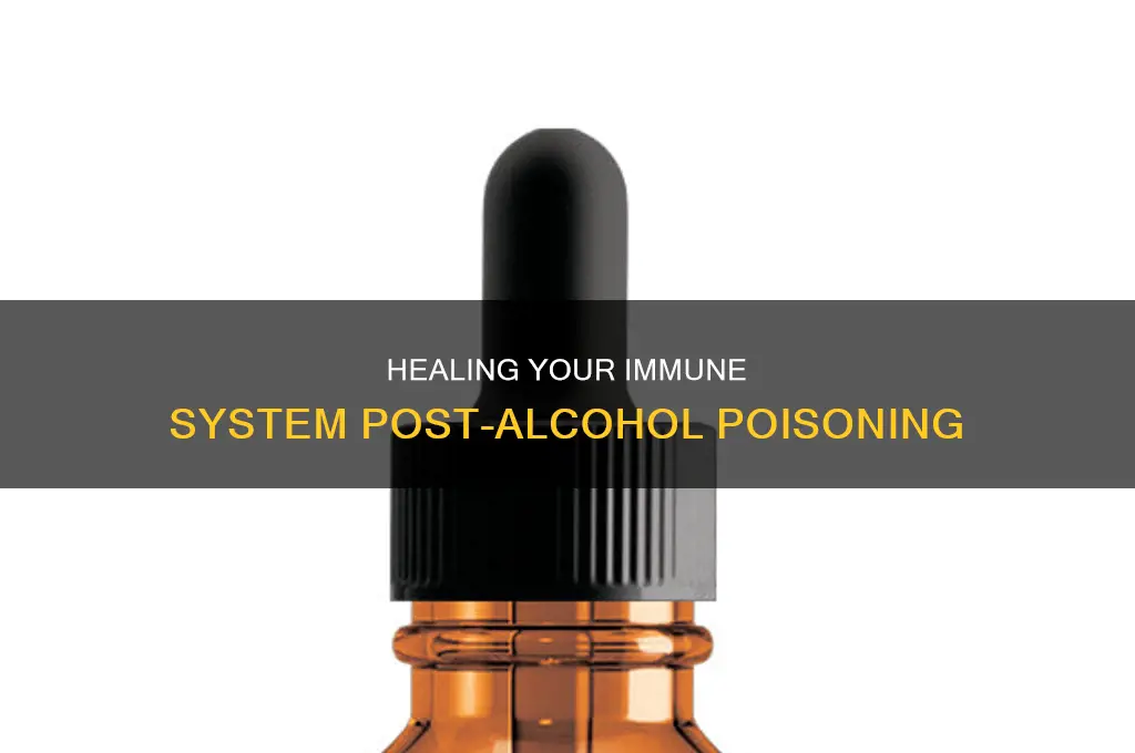 how to heal immune system after alcohol poisoning