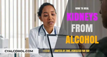 Healing Kidneys After Alcohol: Effective Strategies for Recovery and Health