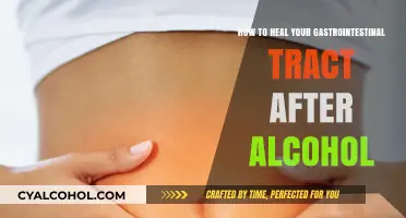 Healing Your Gut After Alcohol: A Natural Approach
