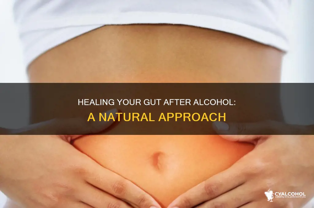 how to heal your gastrointestinal tract after alcohol