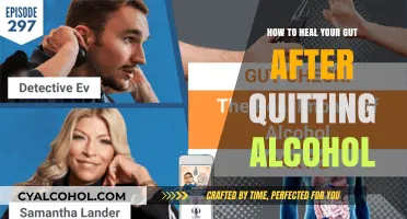 Healing Your Gut After Quitting Alcohol: A Natural Guide