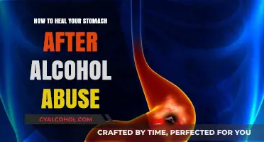 Healing Your Stomach After Alcohol Abuse
