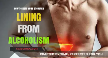 Healing Your Stomach Lining: Recovering from Alcoholism
