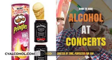 Sneaky Sips: Clever Ways to Conceal Alcohol at Concerts